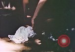 Image of Filipino civilians Manila Philippines, 1945, second 36 stock footage video 65675058934