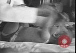 Standbild Kleinkinder Saint Paul Minnesota USA, 1930, aus Sekunde 40 historischem Filmmaterial Videoclip 65675058944