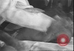 Standbild Kleinkinder Saint Paul Minnesota USA, 1930, aus Sekunde 41 historischem Filmmaterial Videoclip 65675058944