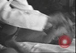 Standbild Kleinkinder Saint Paul Minnesota USA, 1930, aus Sekunde 43 historischem Filmmaterial Videoclip 65675058944