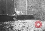 Standbild Stunts auf Fahrräder Berlin Deutschland, 1930, aus Sekunde 11 historischem Filmmaterial Videoclip 65675058945