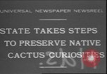 Image of cactus plant Arizona United States USA, 1931, second 1 stock footage video 65675058949