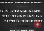 Image of cactus plant Arizona United States USA, 1931, second 3 stock footage video 65675058949