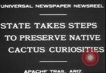 Image of cactus plant Arizona United States USA, 1931, second 6 stock footage video 65675058949