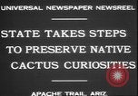 Image of cactus plant Arizona United States USA, 1931, second 7 stock footage video 65675058949