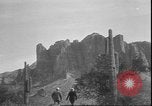Image of cactus plant Arizona United States USA, 1931, second 12 stock footage video 65675058949