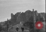 Image of cactus plant Arizona United States USA, 1931, second 13 stock footage video 65675058949