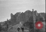 Image of cactus plant Arizona United States USA, 1931, second 14 stock footage video 65675058949