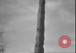 Image of cactus plant Arizona United States USA, 1931, second 23 stock footage video 65675058949