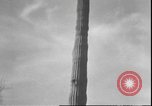 Image of cactus plant Arizona United States USA, 1931, second 24 stock footage video 65675058949