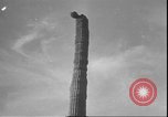 Image of cactus plant Arizona United States USA, 1931, second 26 stock footage video 65675058949
