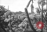 Image of cactus plant Arizona United States USA, 1931, second 44 stock footage video 65675058949
