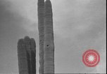 Image of cactus plant Arizona United States USA, 1931, second 46 stock footage video 65675058949