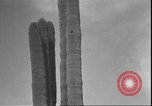 Image of cactus plant Arizona United States USA, 1931, second 49 stock footage video 65675058949