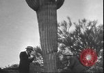 Image of cactus plant Arizona United States USA, 1931, second 59 stock footage video 65675058949