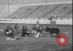 Image of Spanish comedians provoke bull Los Angeles California USA, 1935, second 14 stock footage video 65675058964