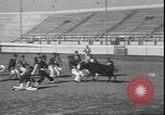 Image of Spanish comedians provoke bull Los Angeles California USA, 1935, second 15 stock footage video 65675058964