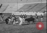 Image of Spanish comedians provoke bull Los Angeles California USA, 1935, second 17 stock footage video 65675058964