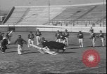 Image of Spanish comedians provoke bull Los Angeles California USA, 1935, second 18 stock footage video 65675058964