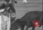 Image of Spanish comedians provoke bull Los Angeles California USA, 1935, second 26 stock footage video 65675058964