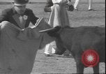Image of Spanish comedians provoke bull Los Angeles California USA, 1935, second 27 stock footage video 65675058964