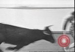 Image of Spanish comedians provoke bull Los Angeles California USA, 1935, second 30 stock footage video 65675058964