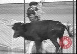 Image of Spanish comedians provoke bull Los Angeles California USA, 1935, second 38 stock footage video 65675058964
