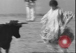 Image of Spanish comedians provoke bull Los Angeles California USA, 1935, second 41 stock footage video 65675058964