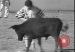 Image of Spanish comedians provoke bull Los Angeles California USA, 1935, second 45 stock footage video 65675058964