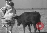 Image of Spanish comedians provoke bull Los Angeles California USA, 1935, second 47 stock footage video 65675058964