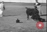Image of Spanish comedians provoke bull Los Angeles California USA, 1935, second 54 stock footage video 65675058964