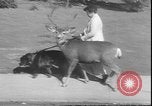 Image un cerf Los Angeles California USA, 1935, de la seconde 3 séquences d'archives historiques vidéo 65675058979