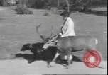Image un cerf Los Angeles California USA, 1935, de la seconde 5 séquences d'archives historiques vidéo 65675058979