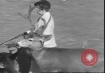 Image un cerf Los Angeles California USA, 1935, de la seconde 8 séquences d'archives historiques vidéo 65675058979