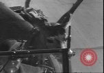 Image un cerf Los Angeles California USA, 1935, de la seconde 22 séquences d'archives historiques vidéo 65675058979