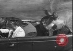 Image un cerf Los Angeles California USA, 1935, de la seconde 27 séquences d'archives historiques vidéo 65675058979