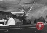 Image un cerf Los Angeles California USA, 1935, de la seconde 28 séquences d'archives historiques vidéo 65675058979
