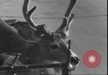 Image un cerf Los Angeles California USA, 1935, de la seconde 29 séquences d'archives historiques vidéo 65675058979
