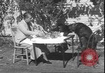 Image un cerf Los Angeles California USA, 1935, de la seconde 35 séquences d'archives historiques vidéo 65675058979
