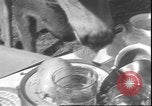 Image un cerf Los Angeles California USA, 1935, de la seconde 38 séquences d'archives historiques vidéo 65675058979