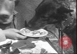 Image un cerf Los Angeles California USA, 1935, de la seconde 43 séquences d'archives historiques vidéo 65675058979