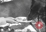 Image un cerf Los Angeles California USA, 1935, de la seconde 44 séquences d'archives historiques vidéo 65675058979