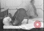 Image un cerf Los Angeles California USA, 1935, de la seconde 47 séquences d'archives historiques vidéo 65675058979