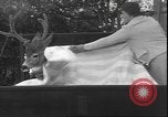 Image un cerf Los Angeles California USA, 1935, de la seconde 51 séquences d'archives historiques vidéo 65675058979