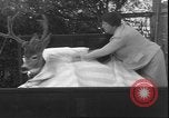 Image un cerf Los Angeles California USA, 1935, de la seconde 52 séquences d'archives historiques vidéo 65675058979