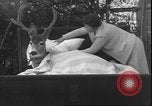 Image un cerf Los Angeles California USA, 1935, de la seconde 55 séquences d'archives historiques vidéo 65675058979