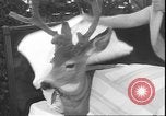 Image un cerf Los Angeles California USA, 1935, de la seconde 58 séquences d'archives historiques vidéo 65675058979