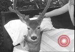 Image un cerf Los Angeles California USA, 1935, de la seconde 59 séquences d'archives historiques vidéo 65675058979