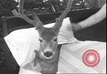 Image un cerf Los Angeles California USA, 1935, de la seconde 60 séquences d'archives historiques vidéo 65675058979