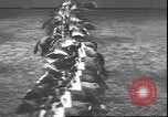 Image of National Horse Show Association show of 1935 New York City USA, 1935, second 53 stock footage video 65675058982